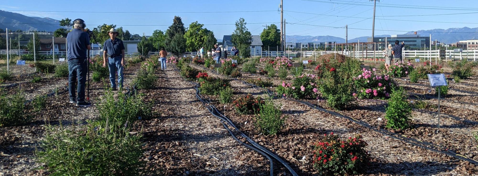 Participants evaluate plants at the open house